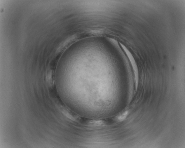 X0000061740428200512231505