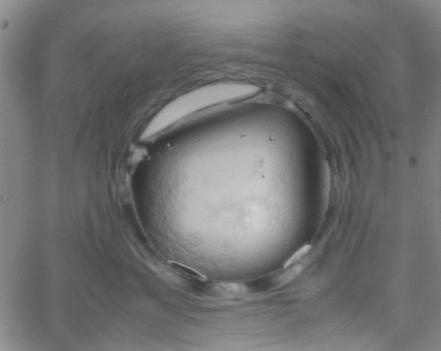 X0000061740429200512231505