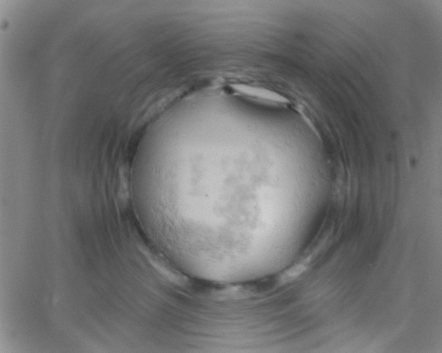 X0000061740430200512231505