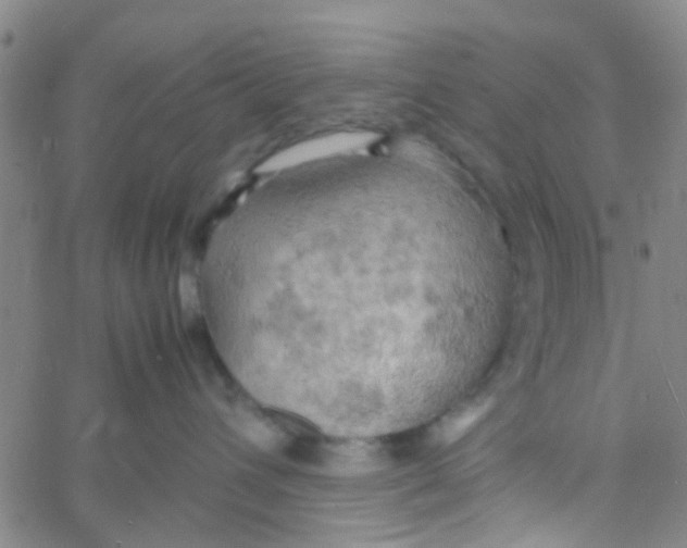 X0000061740432200512231505