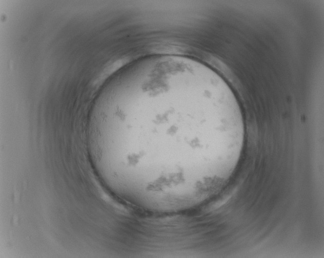 X0000061740433200512231504