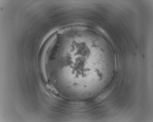 X0000061740435200512231504