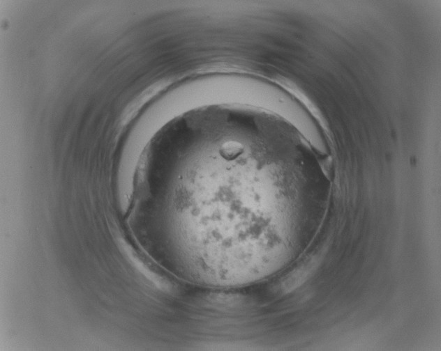 X0000061740437200512231504