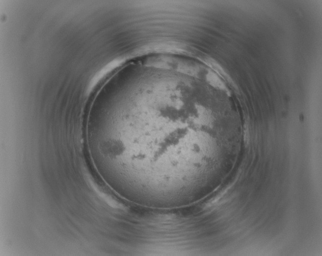 X0000061740438200512231504