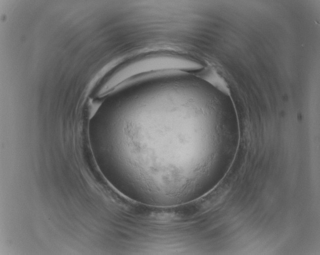 X0000061740440200512231504