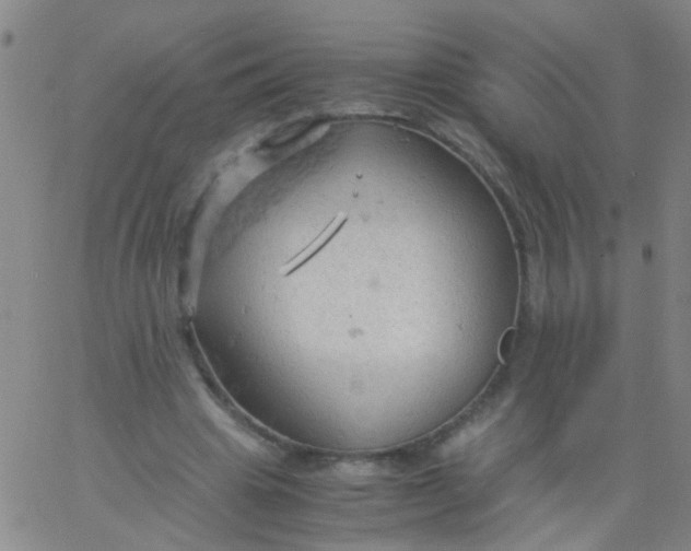 X0000061740441200512231504