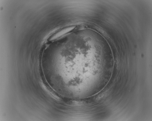 X0000061740442200512231504