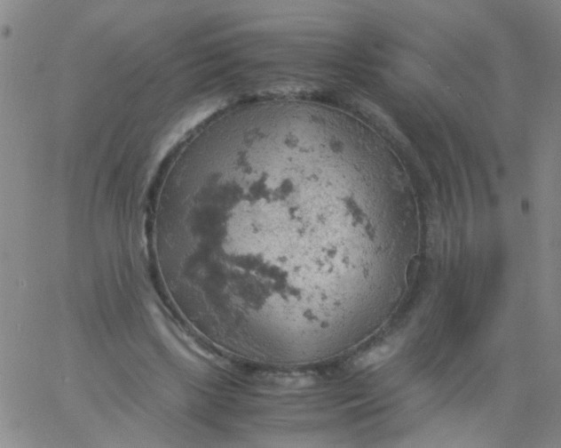 X0000061740443200512231504