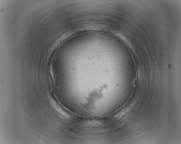 X0000061740445200512231504