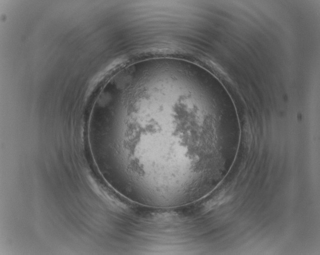 X0000061740446200512231504