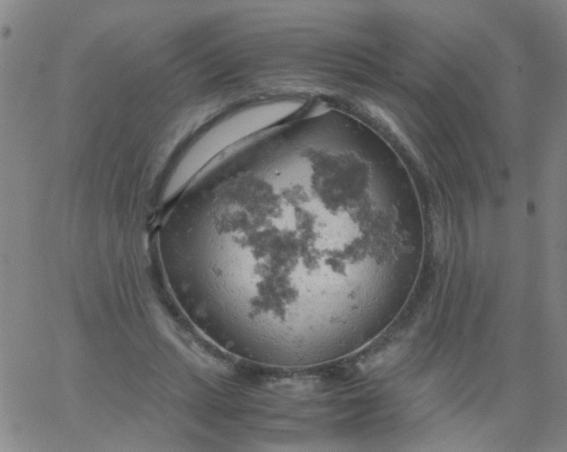 X0000061740447200512231504