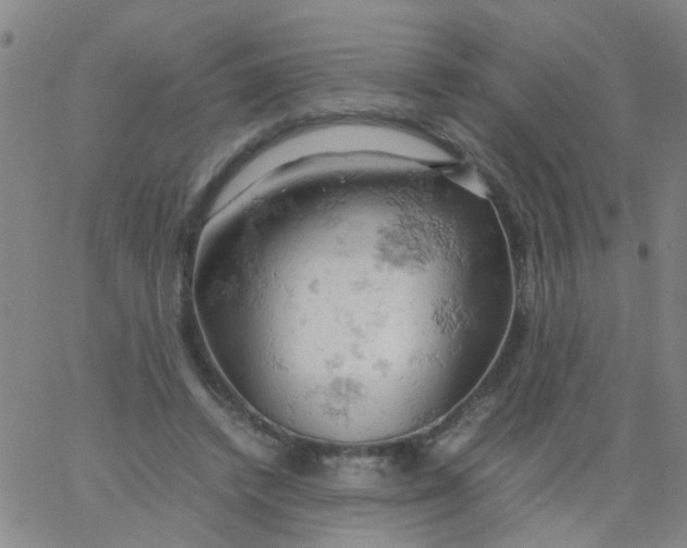 X0000061740448200512231504