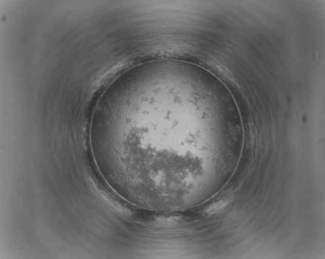 X0000061740450200512231504