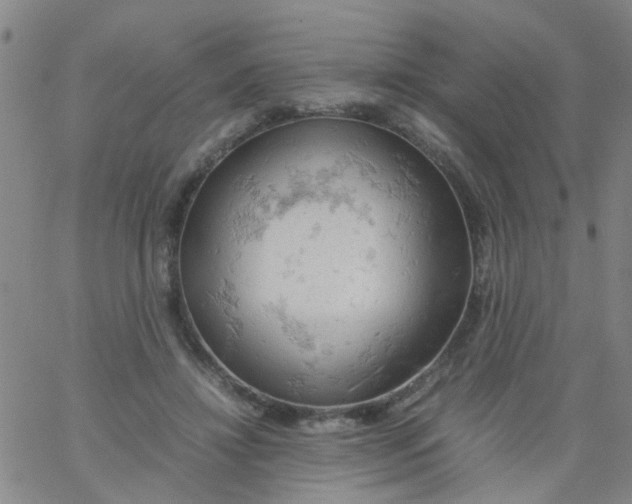 X0000061740452200512231504