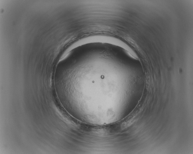 X0000061740454200512231504