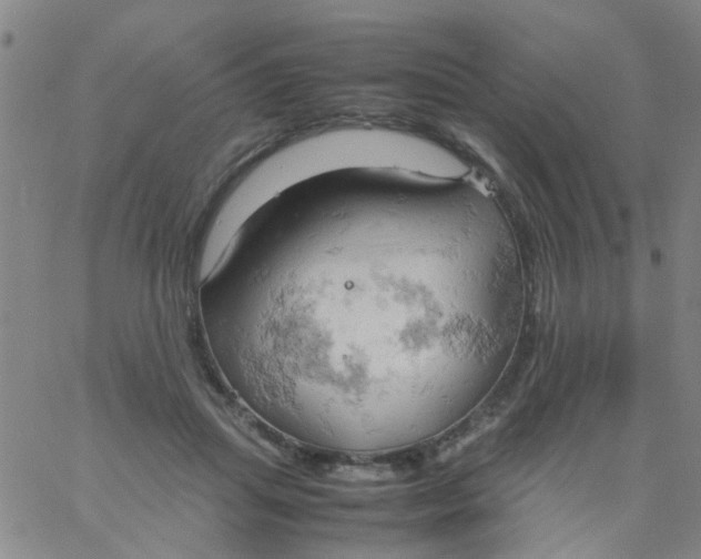 X0000061740455200512231504