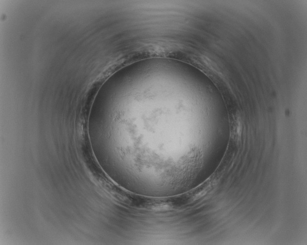 X0000061740456200512231504