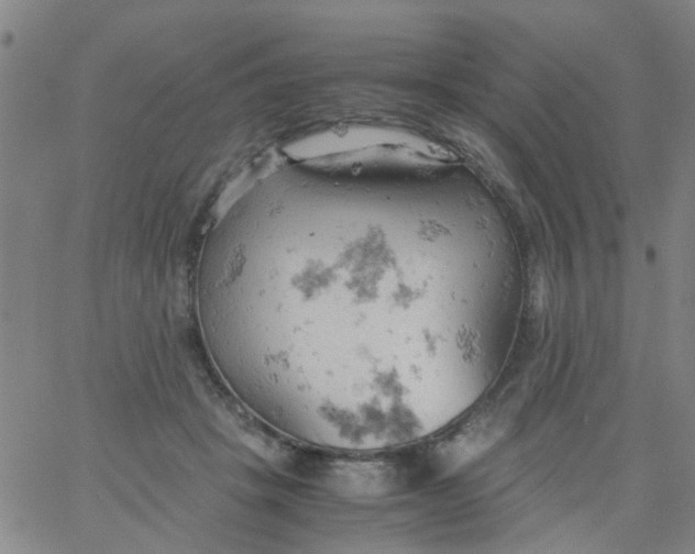 X0000061740457200512231504