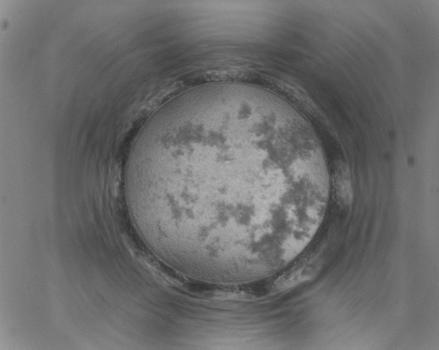 X0000061740458200512231504