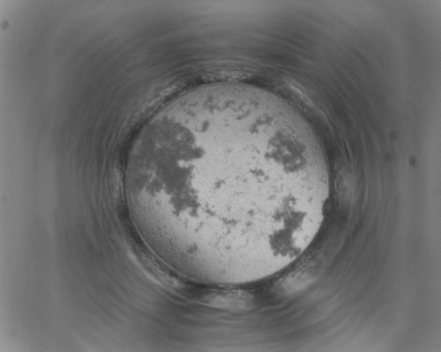 X0000061740459200512231504