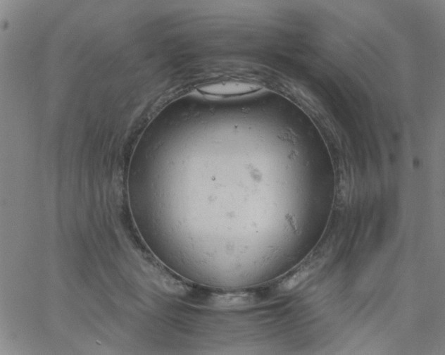 X0000061740461200512231504