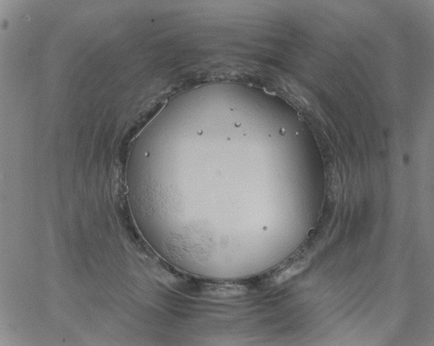 X0000061740463200512231504