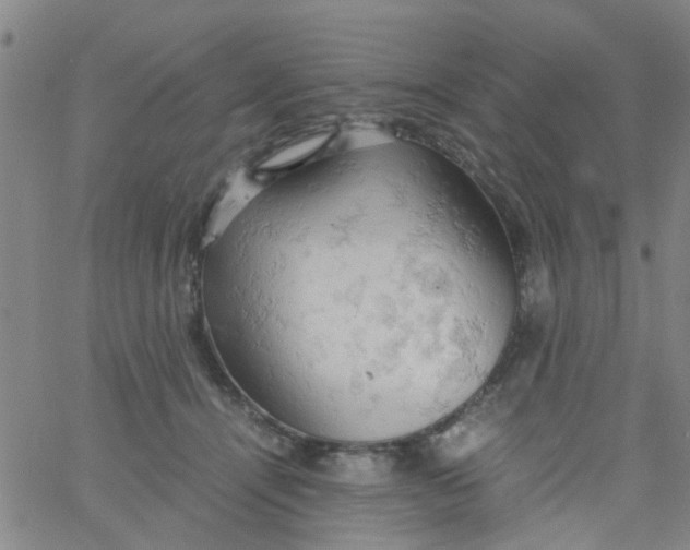 X0000061740464200512231504