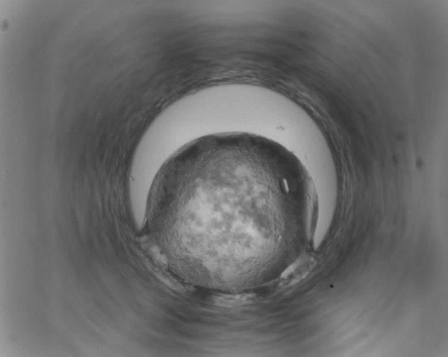 X0000061740465200512231504