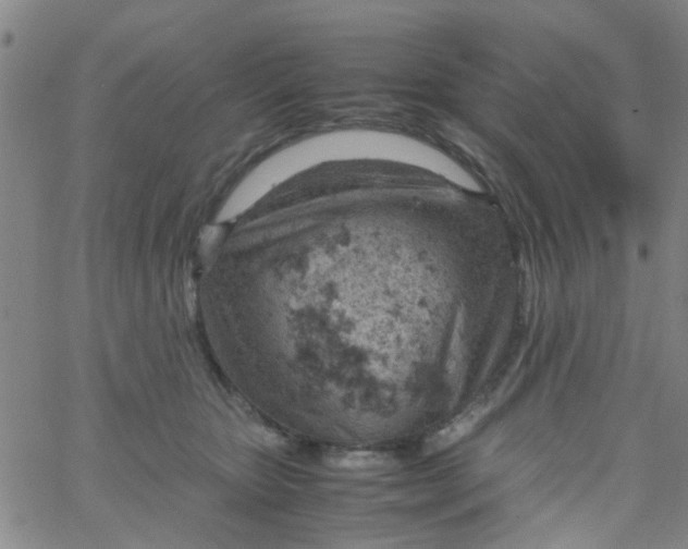 X0000061740467200512231504