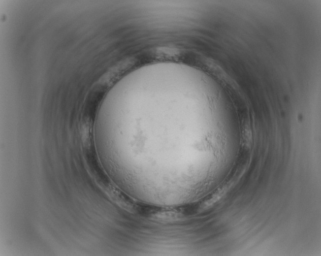 X0000061740468200512231504