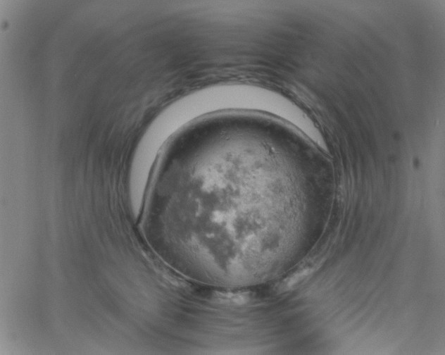 X0000061740469200512231504