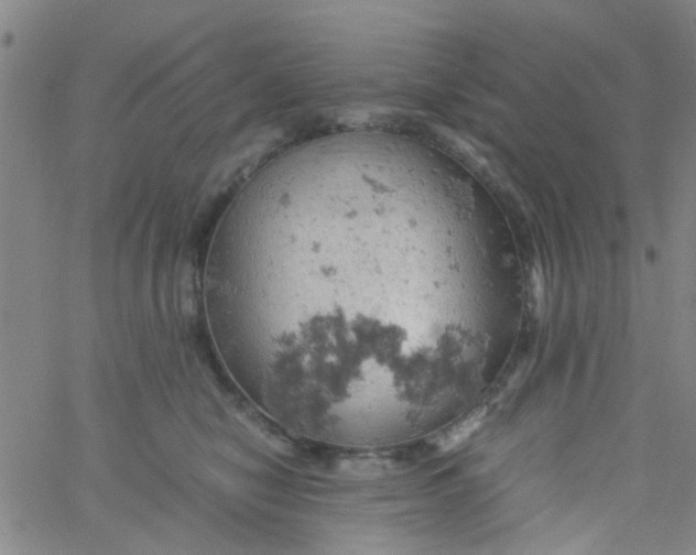 X0000061740470200512231504