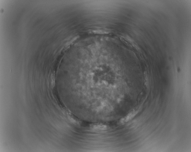 X0000061740471200512231504