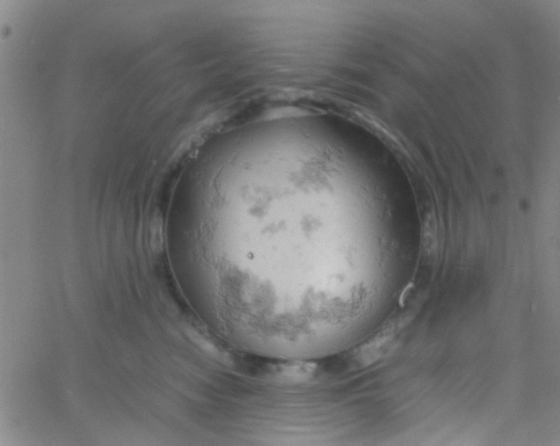 X0000061740474200512231504