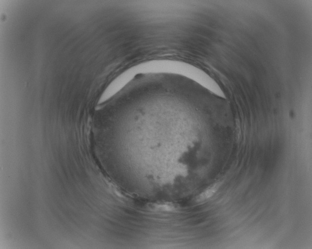 X0000061740475200512231504