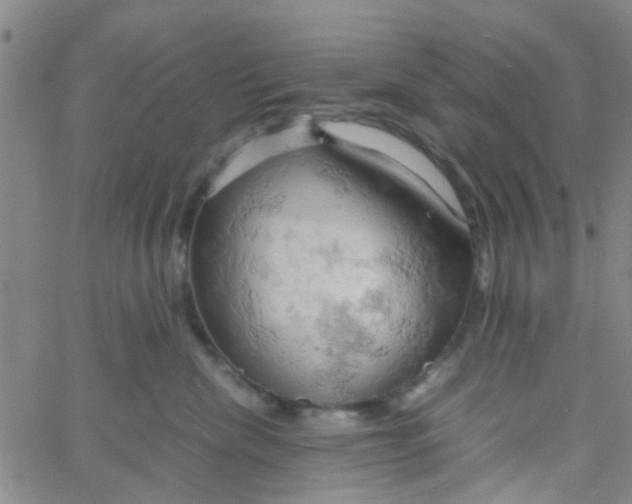 X0000061740476200512231504