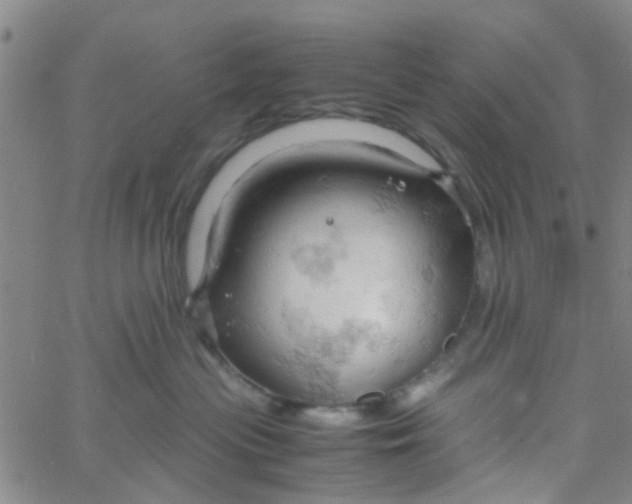 X0000061740477200512231505