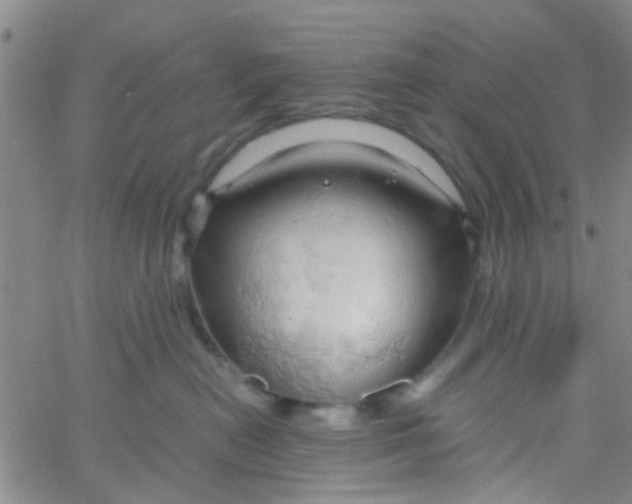 X0000061740478200512231505