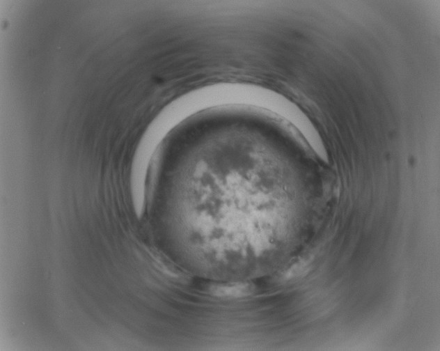 X0000061740479200512231505