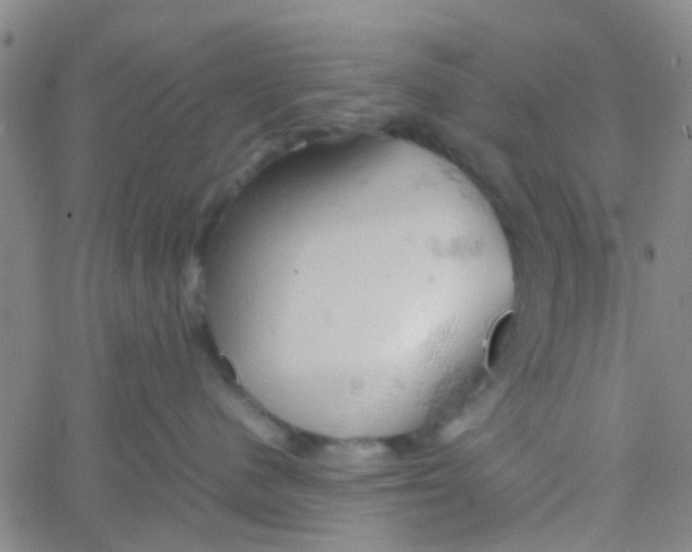 X0000061740480200512231505