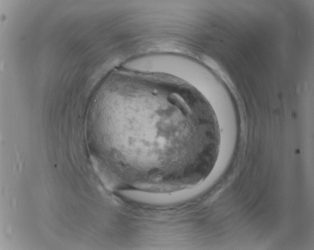 X0000061740481200512231504