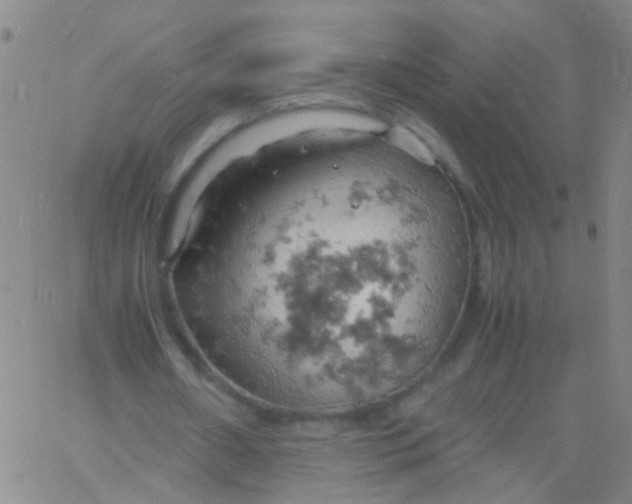 X0000061740482200512231504