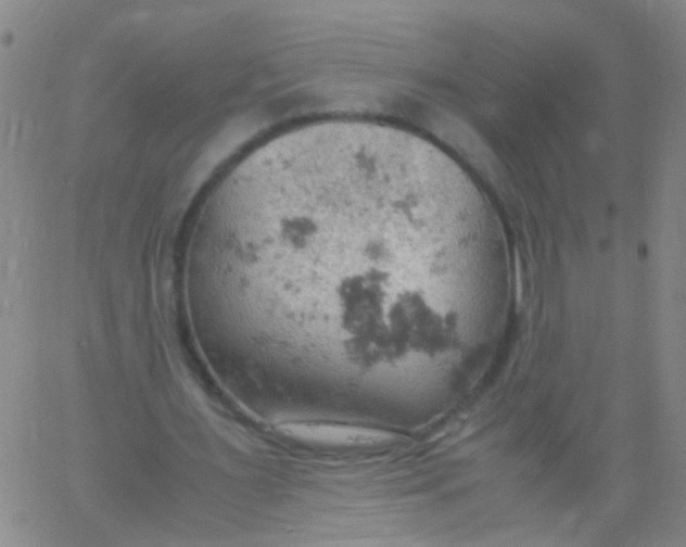 X0000061740483200512231504