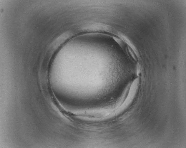 X0000061740485200512231504