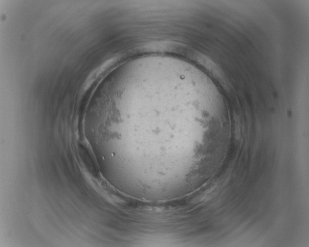 X0000061740486200512231504