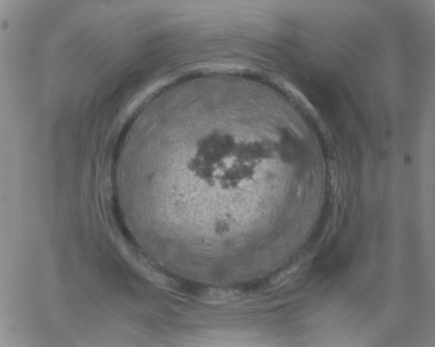 X0000061740487200512231504