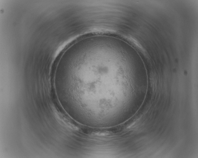 X0000061740488200512231504