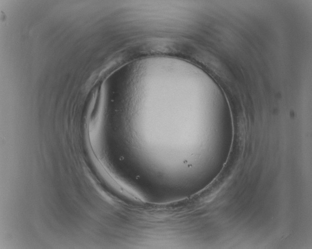 X0000061740489200512231504