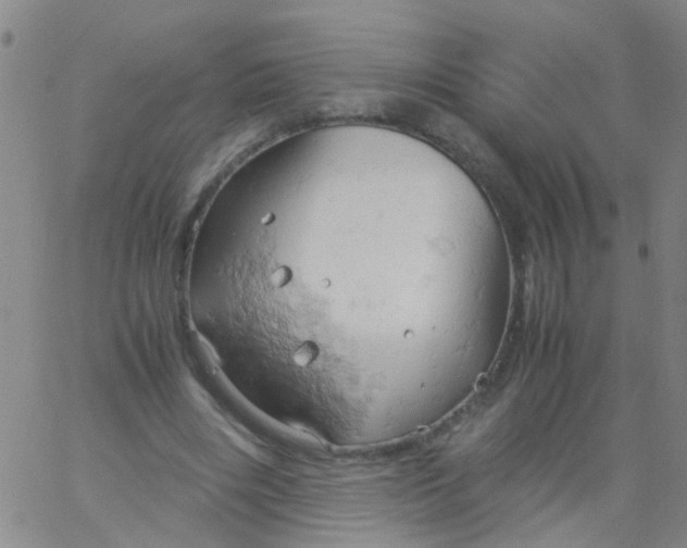 X0000061740490200512231504