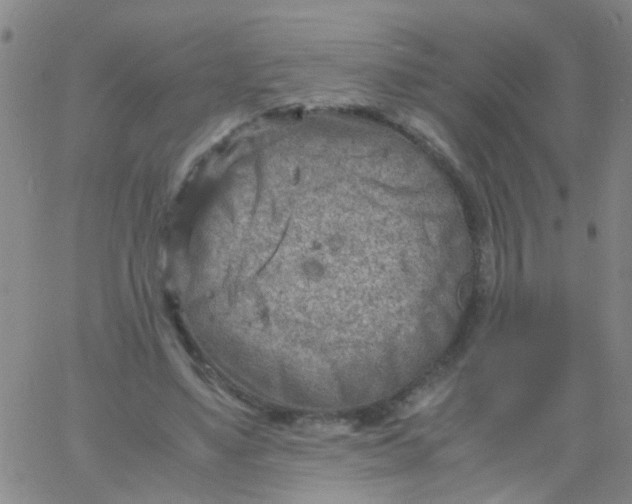 X0000061740491200512231504